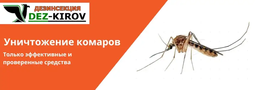 Обработка от блох и муравьев